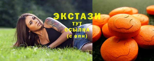 дживик Вязьма