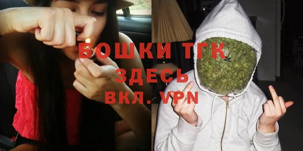 дживик Вязьма