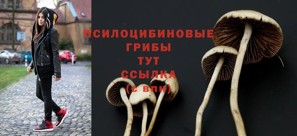 мяу мяу мука Вяземский