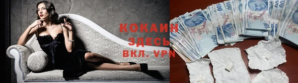 гидра Вязники