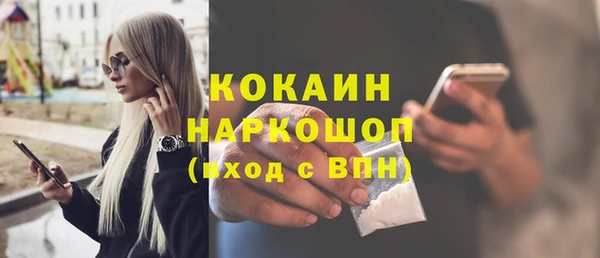 дживик Вязьма