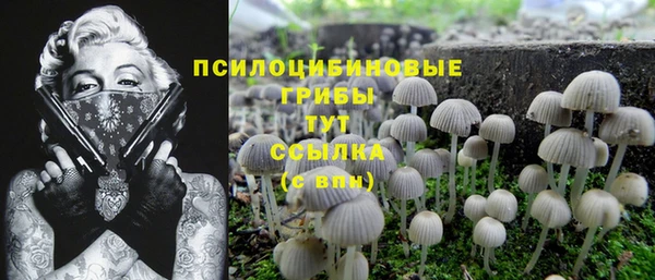 мяу мяу мука Вяземский