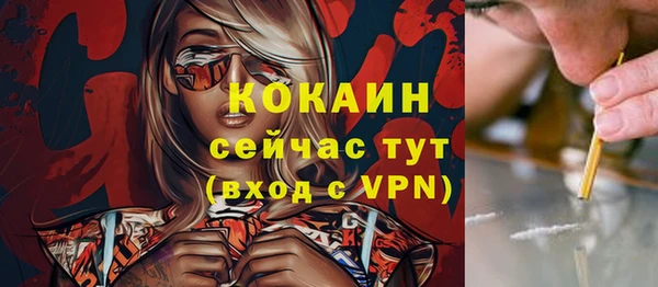дживик Вязьма
