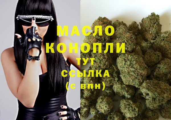 дживик Вязьма