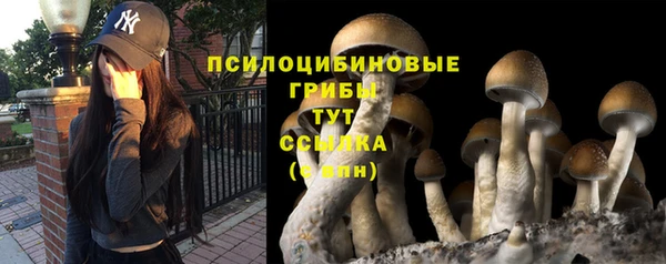 гидра Вязники