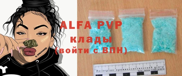дживик Вязьма
