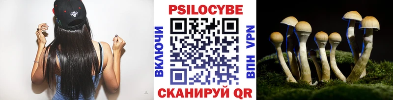 Псилоцибиновые грибы ЛСД  Поворино 